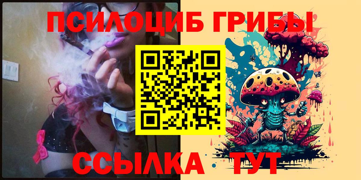 купить   Псилоцибиновые грибы Psilocybe  Ишим  Вход с VPN  Псилоцибиновые грибы Cubensis 