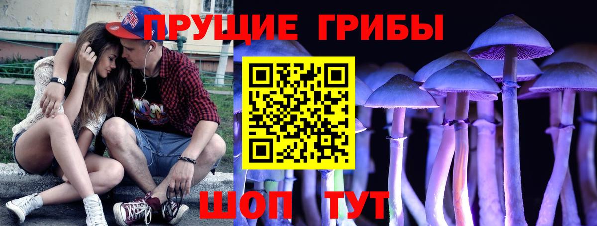 Псилоцибиновые грибы мицелий Ишим